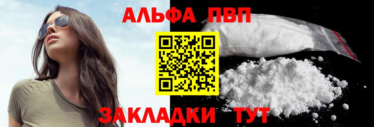 Alfa_PVP СК Горно-Алтайск