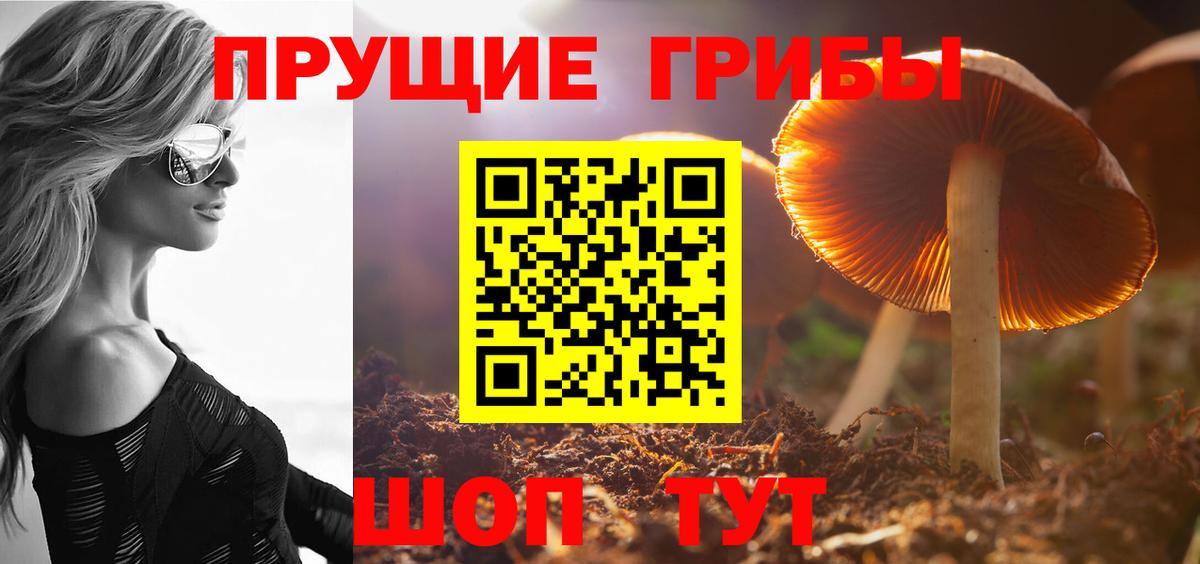 Псилоцибиновые грибы прущие грибы  Галлюциногенные грибы MAGIC MUSHROOMS  Горно-Алтайск  Вход с VPN 